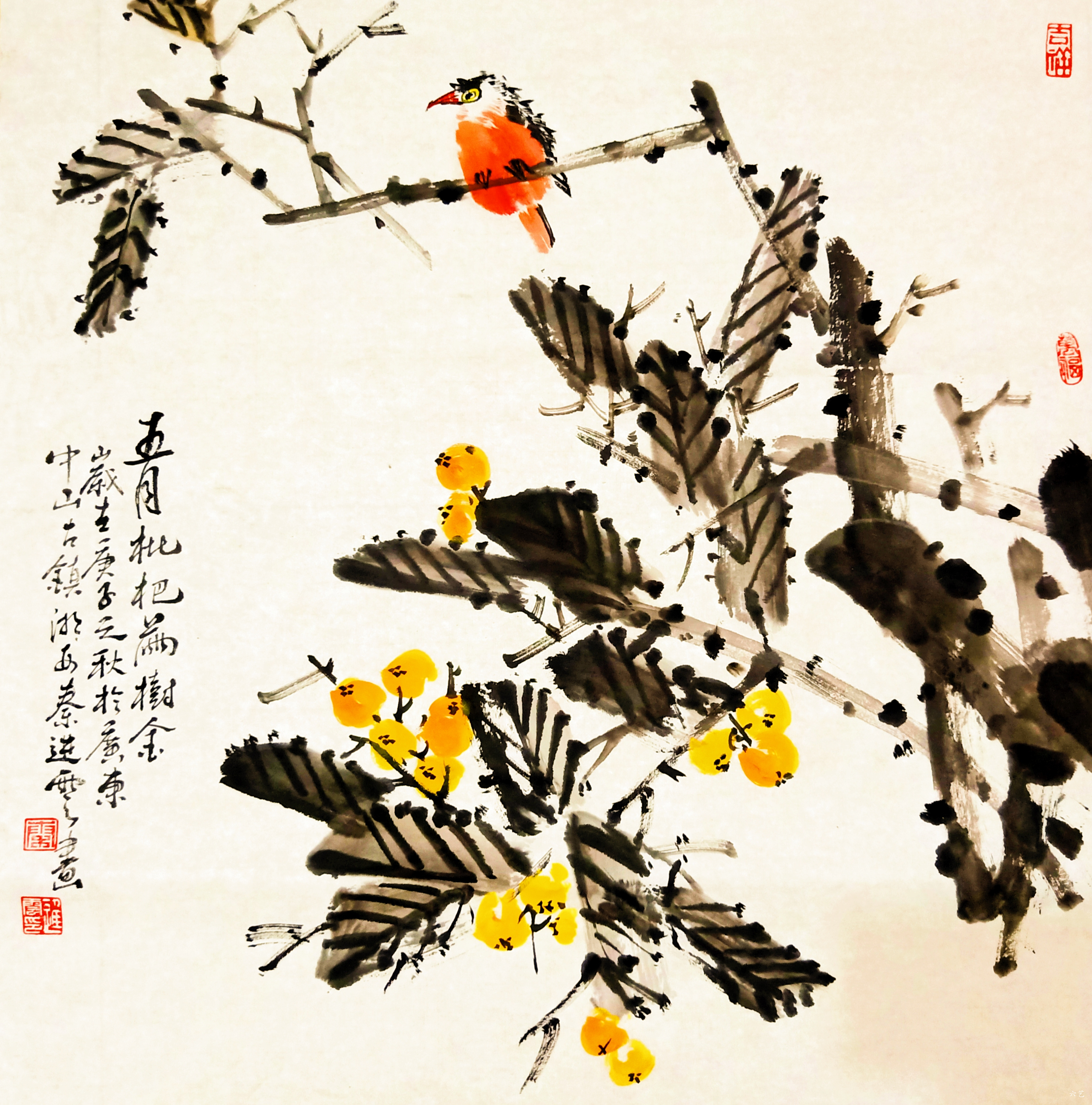 五月枇杷满树金    880                            国画